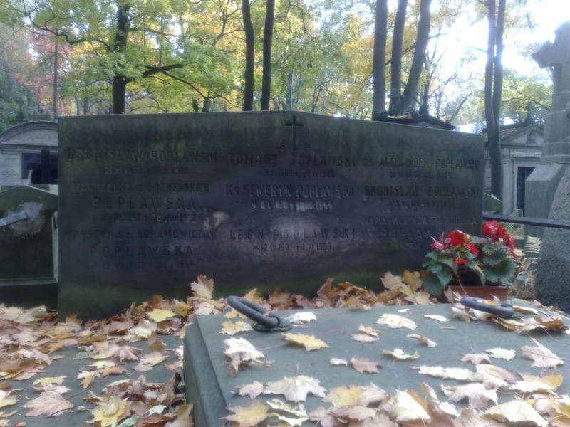 Zdjęcie grobu Michał Chłapowski (1)