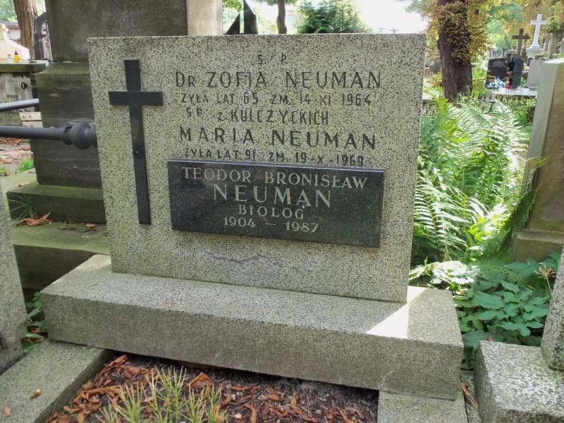 Zdjęcie grobu Teodor Bronisław Neuman (1)