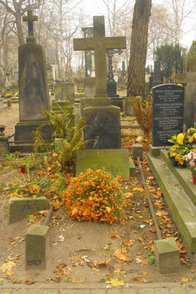 Zdjęcie grobu: Wiktor Kochanowski