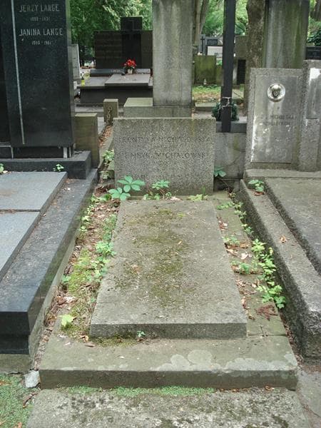 Zdjęcie grobu: Edward Michałowski