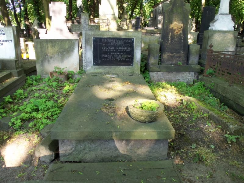 Zdjęcie grobu: Eleonora Nagłowska