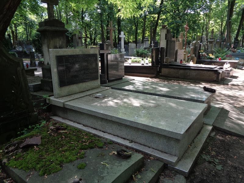 Zdjęcie grobu: Stanisław Słomiński