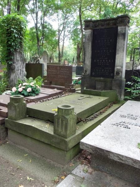 Zdjęcie grobu Leontyna Dmowska (1)