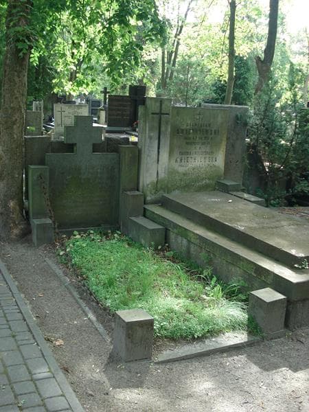Zdjęcie grobu Władysław Topczewski (1)