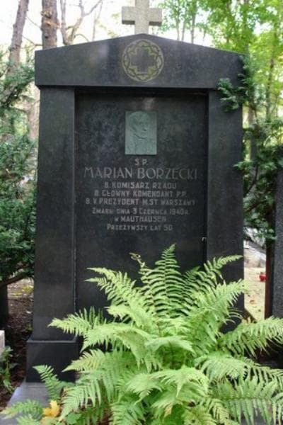 Zdjęcie grobu Bolesław Borzęcki (2)