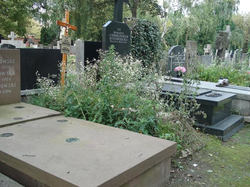 Zdjęcie grobu Dyoniza Jaworska (1)