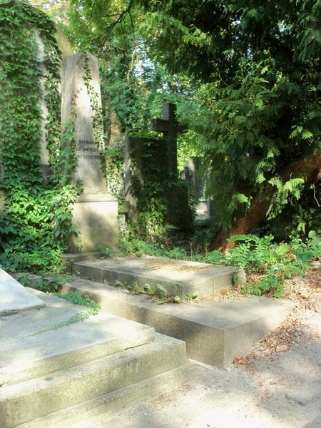 Zdjęcie grobu Teodor Gąssowski (1)