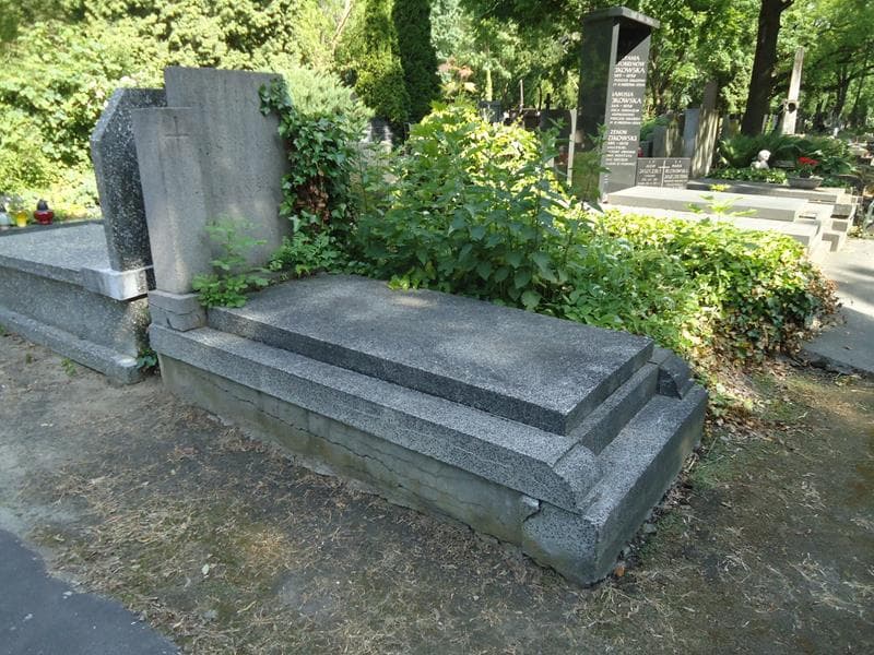 Zdjęcie grobu Krystyna Gościmska (1)