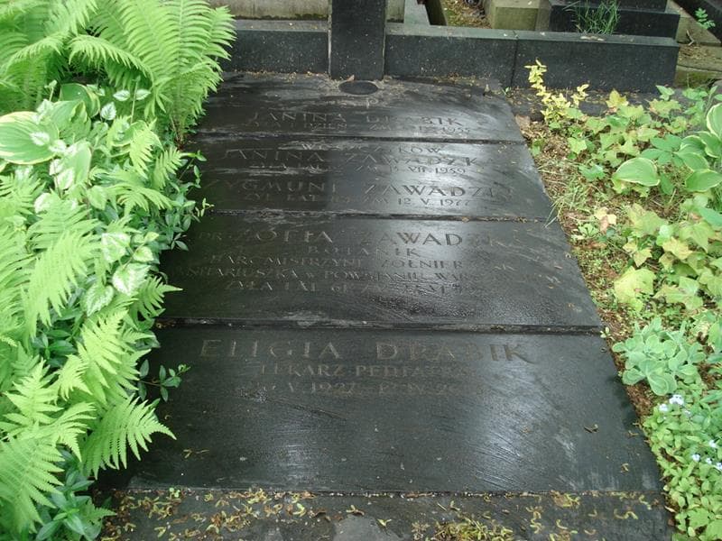 Zdjęcie grobu Janina Drabik (2)