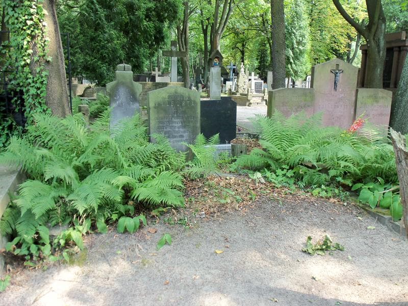 Zdjęcie grobu: Otton Polkowski