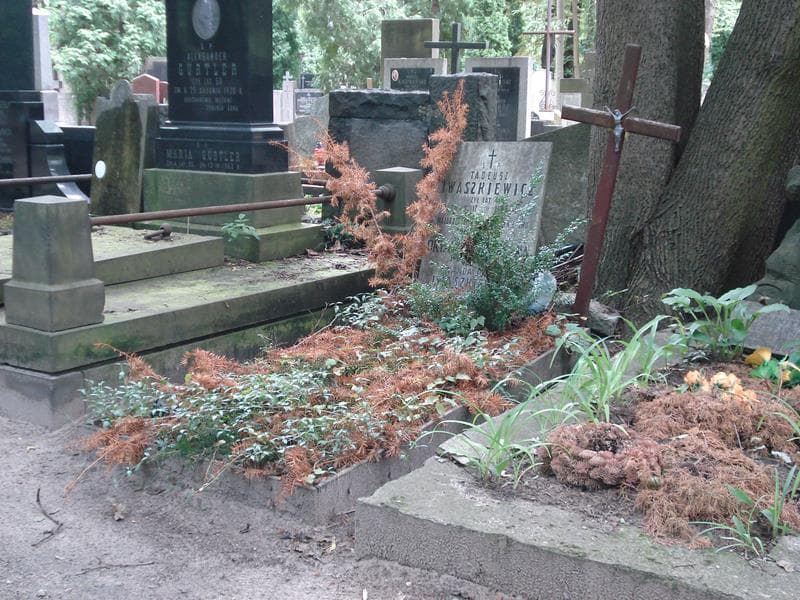 Zdjęcie grobu Wanda Józefa Iwaszkewicz (1)
