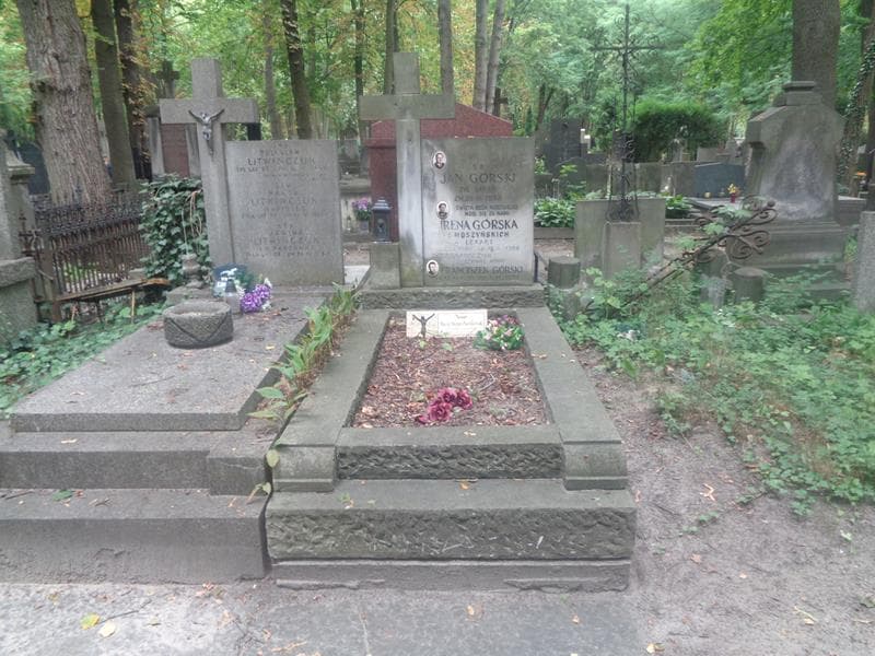 Zdjęcie grobu Franciszek Górski (1)