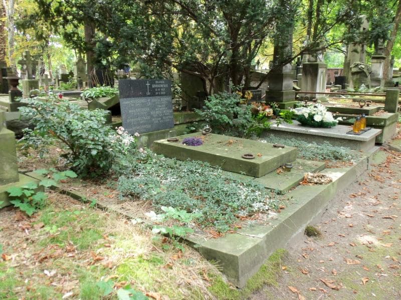 Zdjęcie grobu Kleinowie (1)