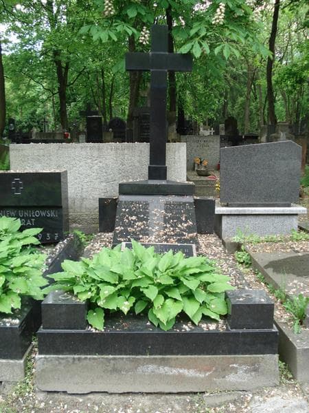 Zdjęcie grobu Ludwik Klinger (1)