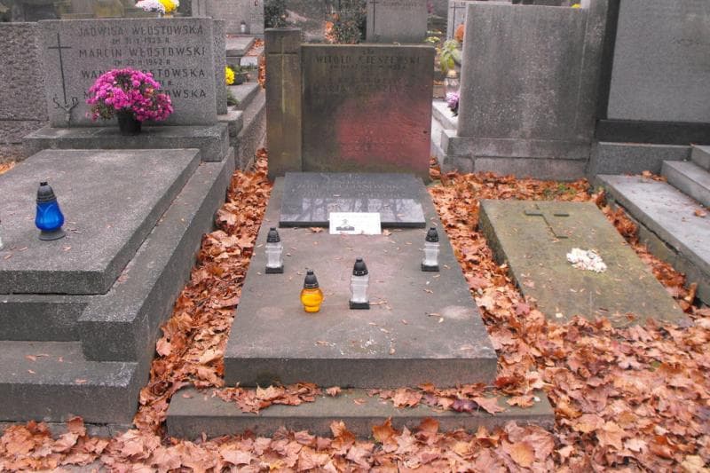 Zdjęcie grobu: Bogdan Pałęcki