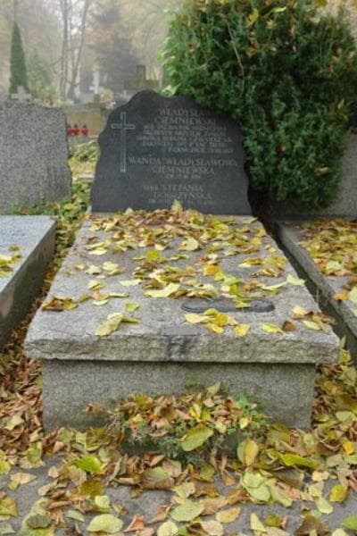 Zdjęcie grobu: Władysław Ciemniewski
