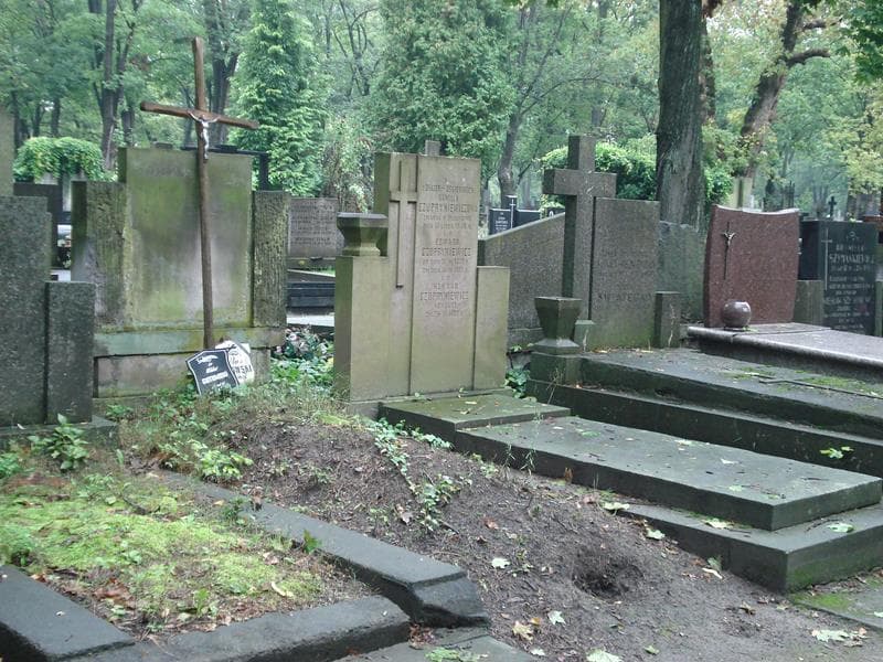 Zdjęcie grobu Wituś Gutowski (1)