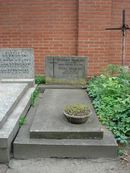 Zdjęcie grobu: Stefania Iwanejko