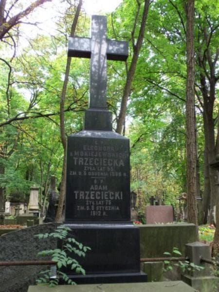 Zdjęcie grobu Józefa Kubicka (2)