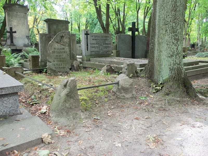 Zdjęcie grobu Eugeniusz Tryjarski (1)