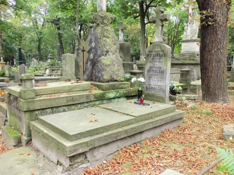 Zdjęcie grobu Anna Wosińska (1)