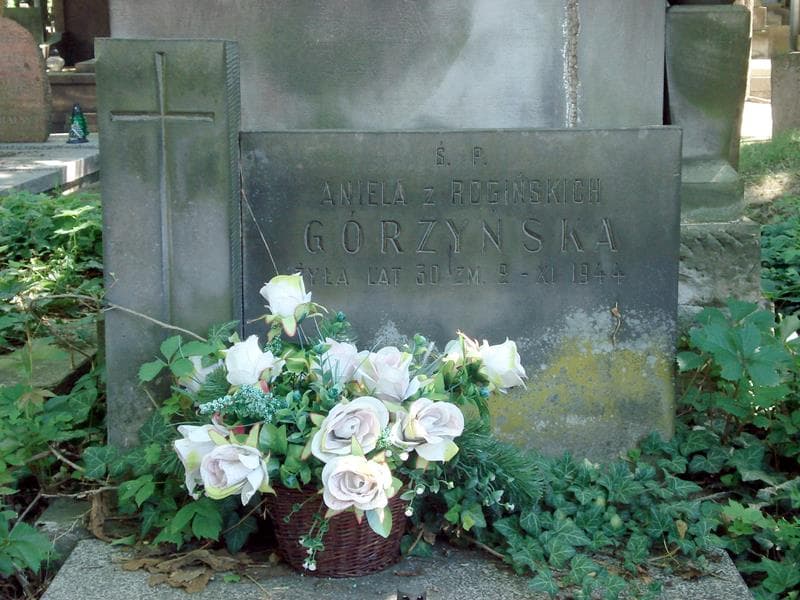 Zdjęcie grobu Aniela Górzyńska (1)