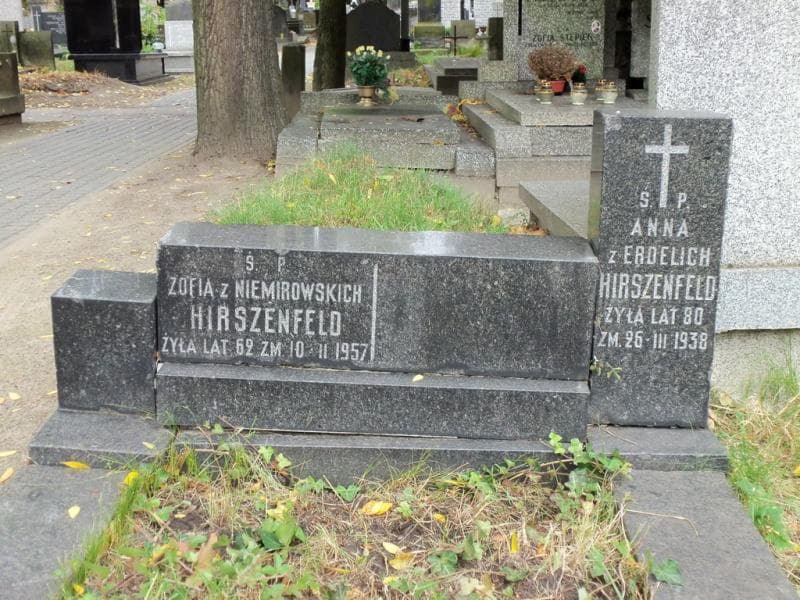 Zdjęcie grobu Zofia Hirszenfeld (2)