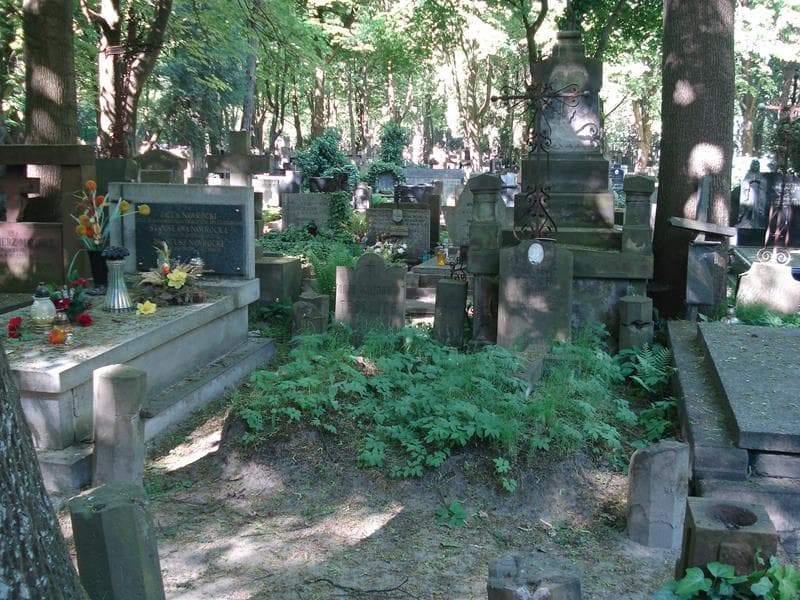 Zdjęcie grobu: Gustaw Trocki