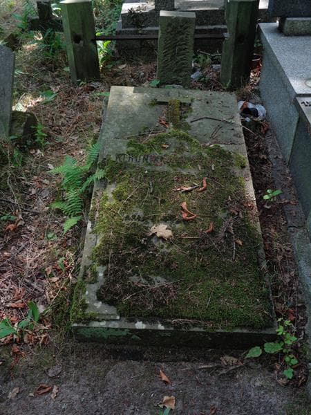Zdjęcie grobu Weronika Budzyńska (1)