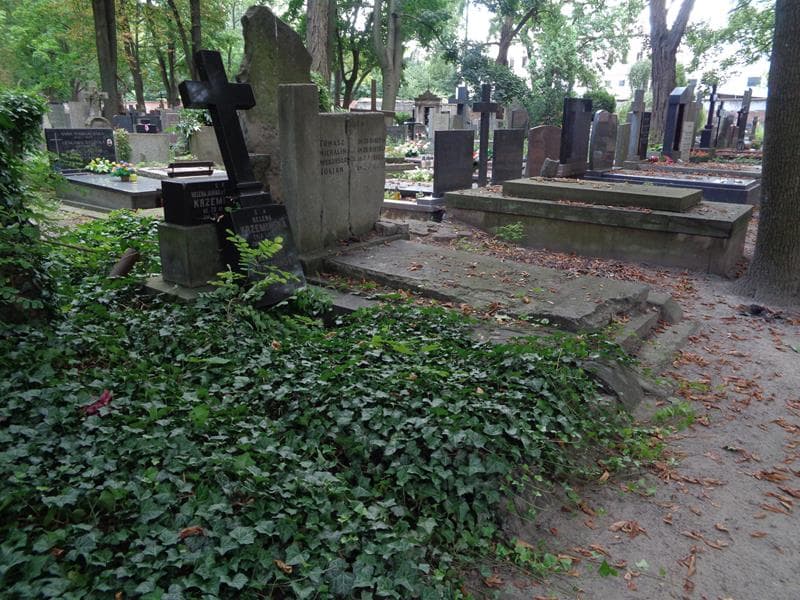Zdjęcie grobu: Helena Janina Krzemińska