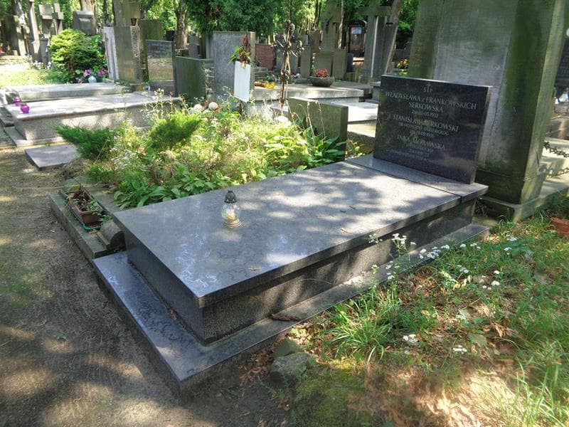 Zdjęcie grobu: Stanisław Serkowski