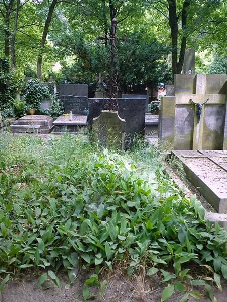 Zdjęcie grobu Antonina Baranowska (1)