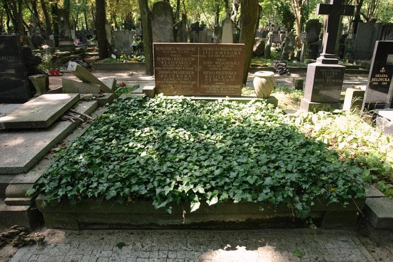 Zdjęcie grobu Janina Hoserowa (1)
