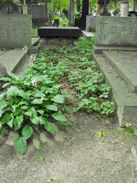 Zdjęcie grobu: Pole Grobowe