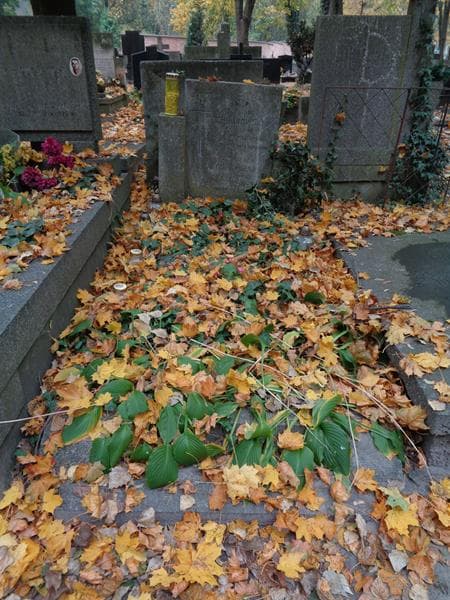 Zdjęcie grobu Zygmunt Chojnowski (1)