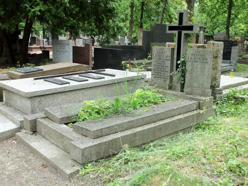 Zdjęcie grobu Helena Lewicka (1)