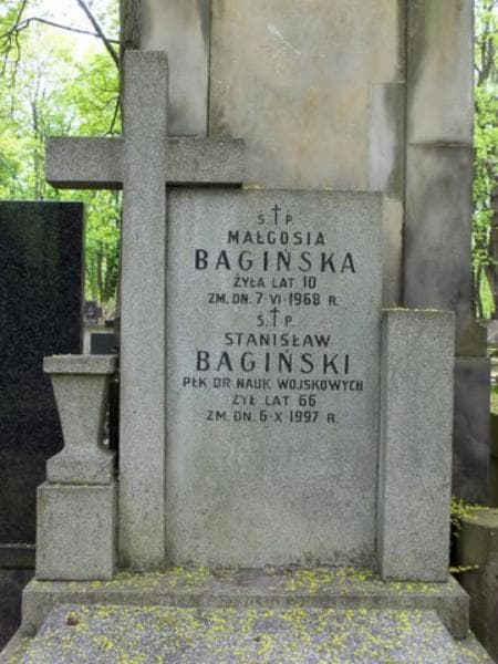 Zdjęcie grobu Stanisław Bagiński (2)