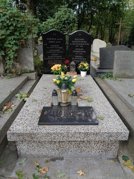 Zdjęcie grobu Antoni Kłopotowski (1)