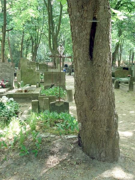 Zdjęcie grobu: Józef Kołpotowski