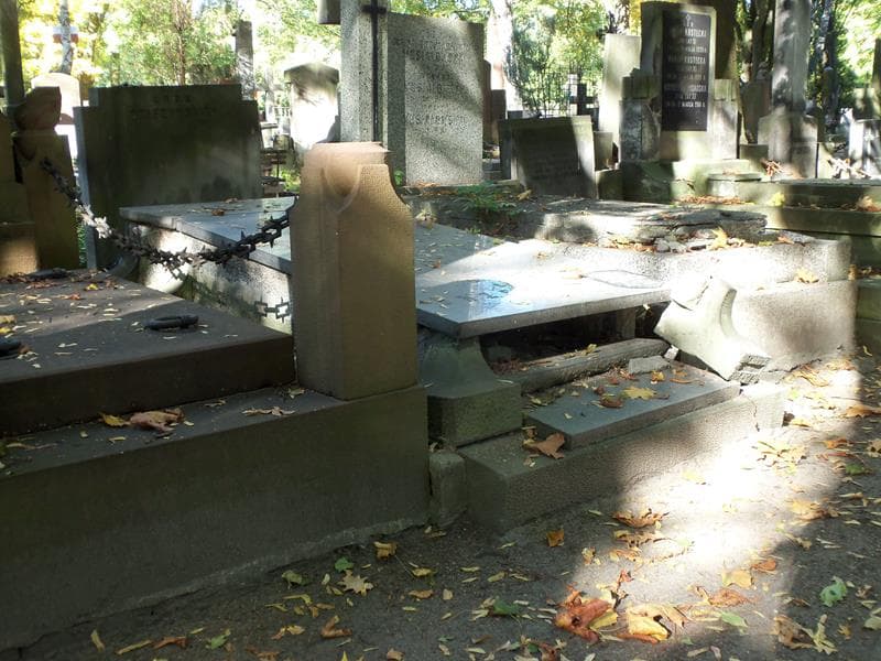 Zdjęcie grobu Henryk Drzewiński (1)