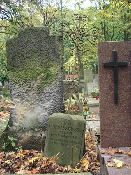 Zdjęcie grobu Teofil Goniszewski (2)