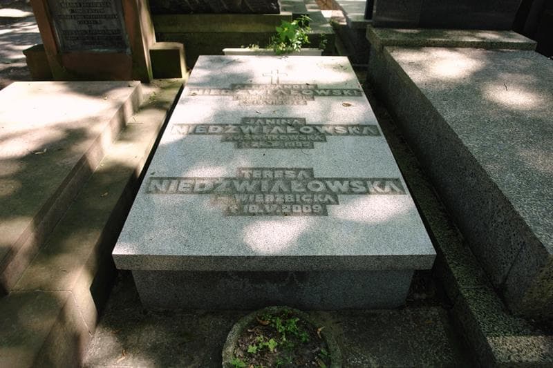 Zdjęcie grobu Teresa Niedźwiałowska-Wierzbicka (1)