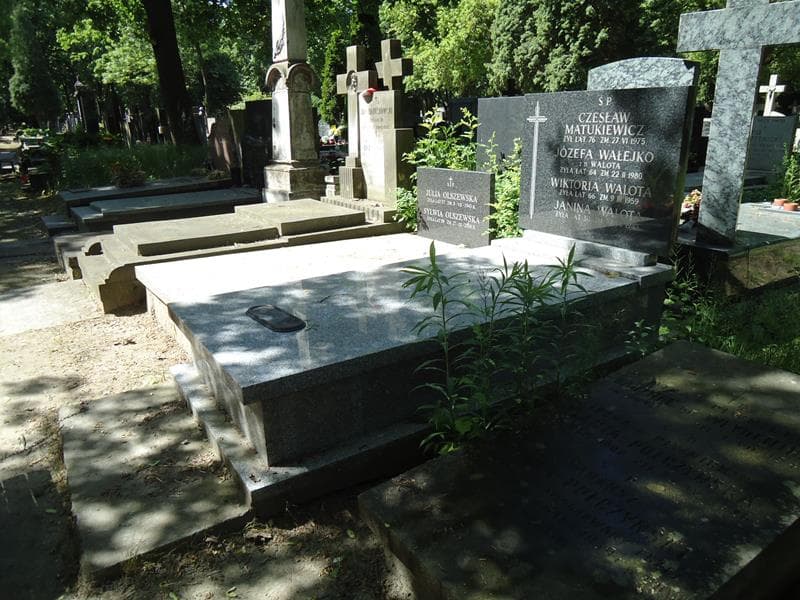 Zdjęcie grobu Wiktoria Walota (1)