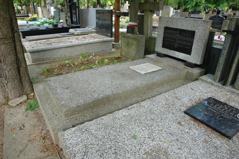 Zdjęcie grobu: Maria Langier