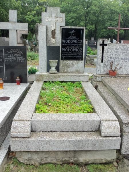 Zdjęcie grobu: Mieczysław Wołowicz