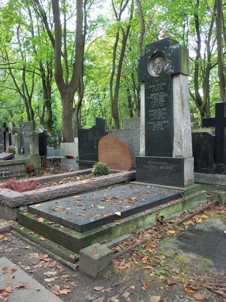 Zdjęcie grobu Stanisław Ryl (1)