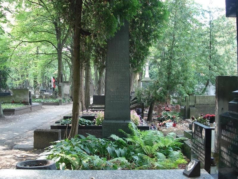 Zdjęcie grobu: Władysław Jechalski