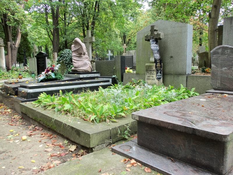 Zdjęcie grobu Dominika Trojanowska (1)