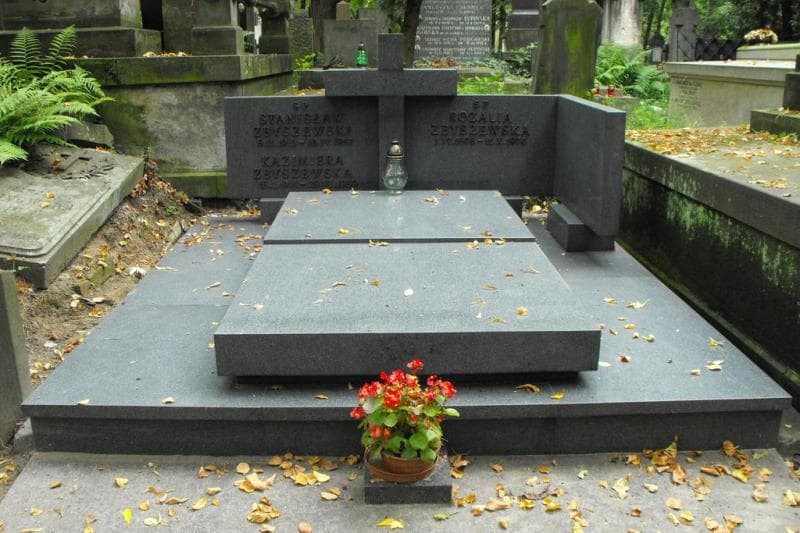 Zdjęcie grobu: Stanisław Zbyszewski