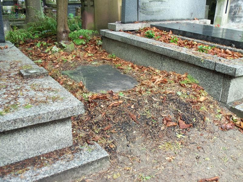Zdjęcie grobu Antonina Przezpolewska (1)